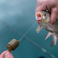 Matrix Interchangeable Inline Maggot Feeders